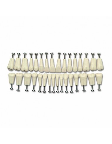 RECAMBIO DIENTES PARA EL MODELO DS0893/G