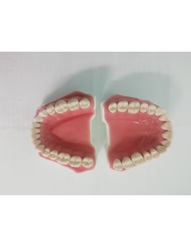 CONFEZ.DA 100PZ.DENTI ASSORTITI N.21(COD.DS0905)