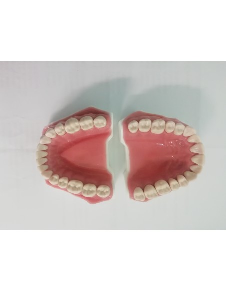 CONFEZ.DA 100PZ.DENTI ASSORTITI N.21(COD.DS0905)