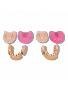 MODELO PARA LA EJERCITACION DE CIRUGÍA COMPLETO+EN