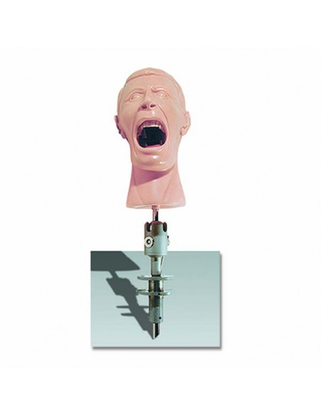 MANIQUI PARA SOBREMESA