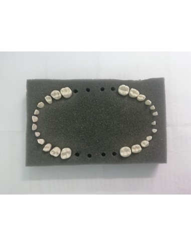 Kit de 24 dientes de recambio  para modelo...